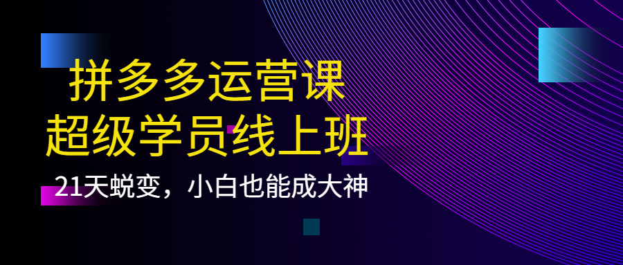 拼多多运营课：超级学员线上班，21天蜕变，小白也能成大神-廉价云资源网