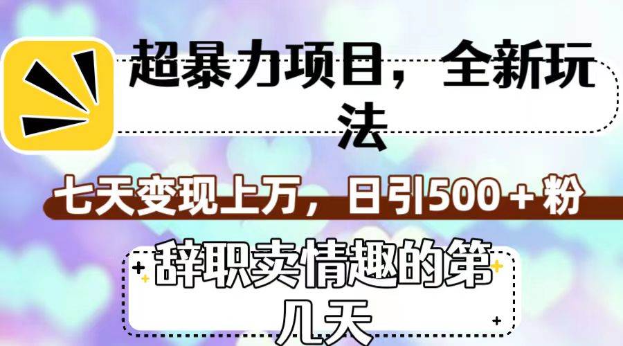 超暴利项目，全新玩法（辞职卖情趣的第几天），七天变现上万，日引500+粉-廉价云资源网