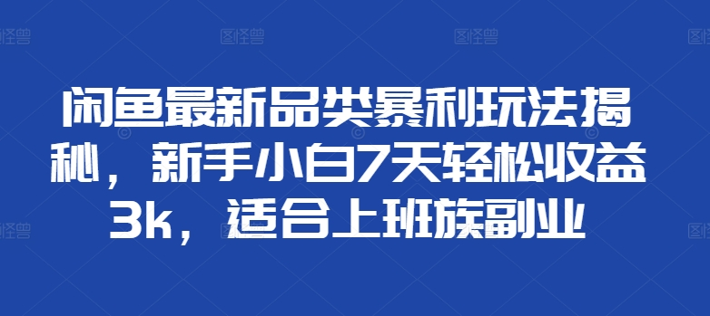 闲鱼最新品类暴利玩法揭秘，新手小白7天轻松赚3000+，适合上班族副业-廉价云资源网