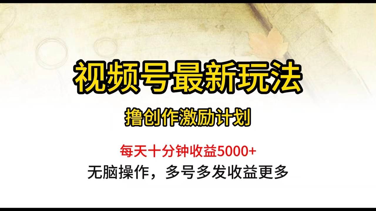 视频号最新玩法，每日一小时月入5000+-廉价云资源网