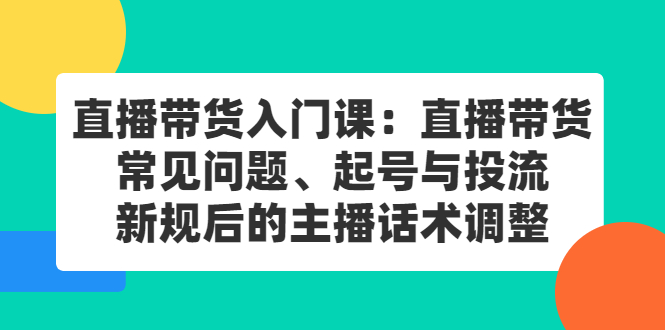 直播带货入门课：直播带货常见问题、起号与投流、新规后的主播话术调整-廉价云资源网