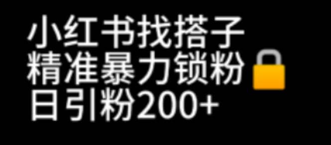 小红书找搭子暴力精准锁粉+引流日引200+精准粉-廉价云资源网