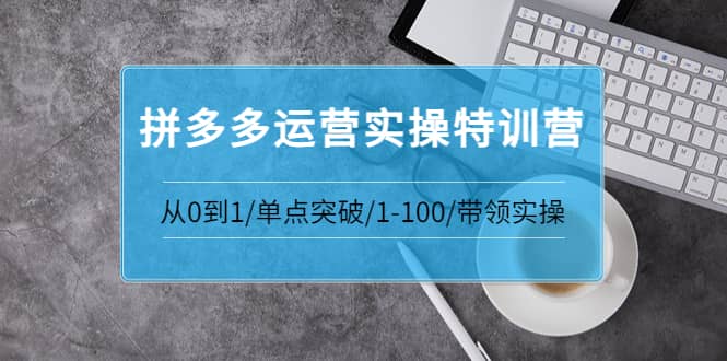 拼多多运营实操特训营：从0到1/单点突破/1-100/带领实操 价值2980元-廉价云资源网