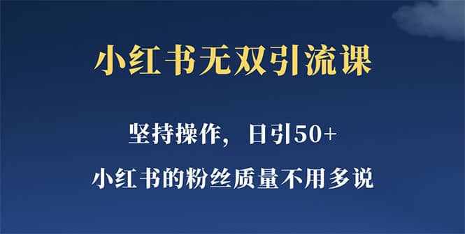 小红书无双课一天引50+女粉，不用做视频发视频，小白也很容易上手拿到结果-廉价云资源网