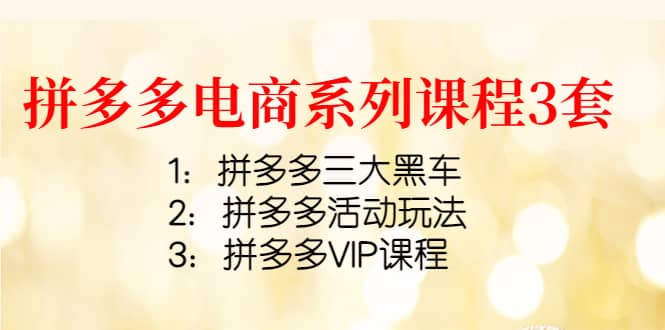 拼多多电商系列课程3套：拼多多三大黑车+拼多多活动玩法+拼多多VIP课程-廉价云资源网