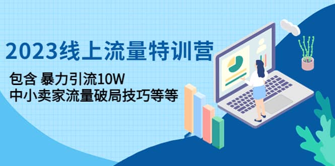 2023线上流量特训营：中小卖家流量破局技巧等等-廉价云资源网
