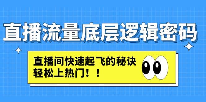 直播流量底层逻辑密码：直播间快速起飞的秘诀，轻松上热门-廉价云资源网