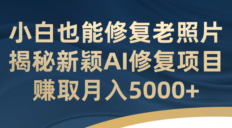 小白也能修复老照片！揭秘新颖AI修复项目，赚取月入5000+-廉价云资源网