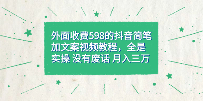 外面收费598抖音简笔加文案教程，全是实操 没有废话 月入三万（教程+资料）-廉价云资源网