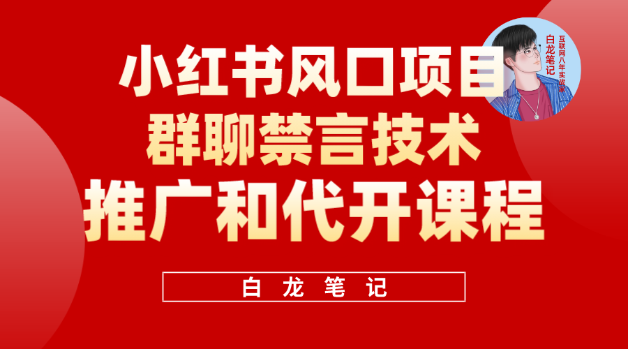 小红书风口项目日入300+，小红书群聊禁言技术代开项目，适合新手操作-廉价云资源网