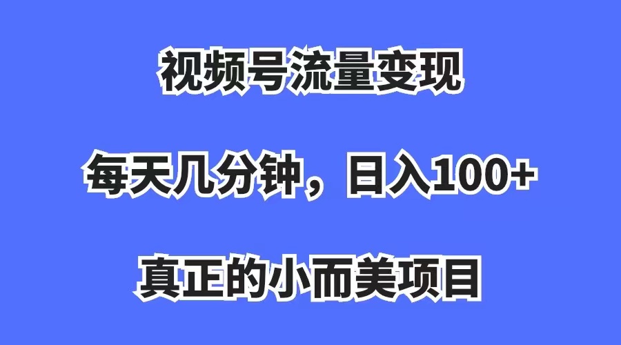 视频号流量变现，每天几分钟，收入100+，真正的小而美项目-廉价云资源网