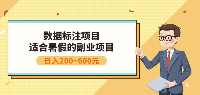 副业赚钱：人工智能数据标注项目，简单易上手，小白也能日入200+-廉价云资源网