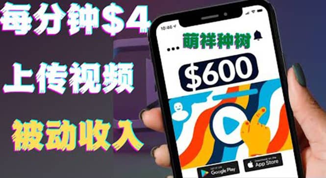 只需要上传视频然后每分钟赚4美元项目：详细操作步骤，新手也可操作-廉价云资源网