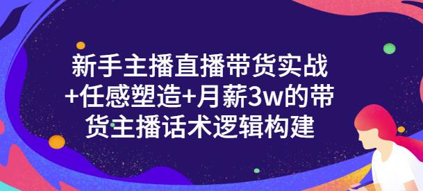 新手主播直播带货实战+信任感塑造+月薪3w的带货主播话术逻辑构建-廉价云资源网