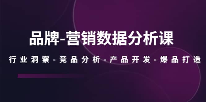 品牌-营销数据分析课，行业洞察-竞品分析-产品开发-爆品打造-廉价云资源网
