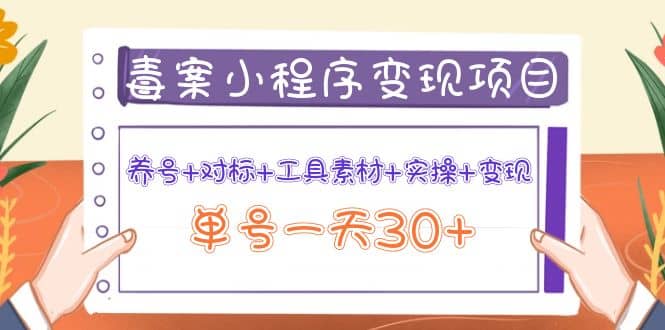 毒案小程序变现项目：养号+对标+工具素材+实操+变现-廉价云资源网
