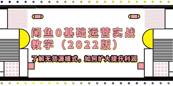 闲鱼0基础运营实战教学（2022版）了解无货源模式，如何扩大提升利润-廉价云资源网