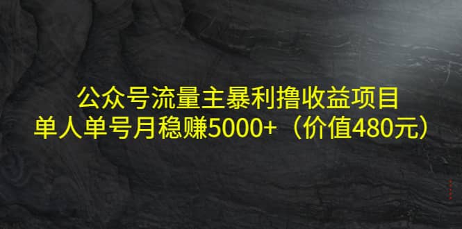 公众号流量主暴利撸收益项目，单人单号月稳赚5000+（价值480元）-廉价云资源网