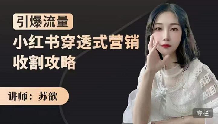 小红书穿透式营销收割攻略，引爆流量，助你玩转小红书-廉价云资源网