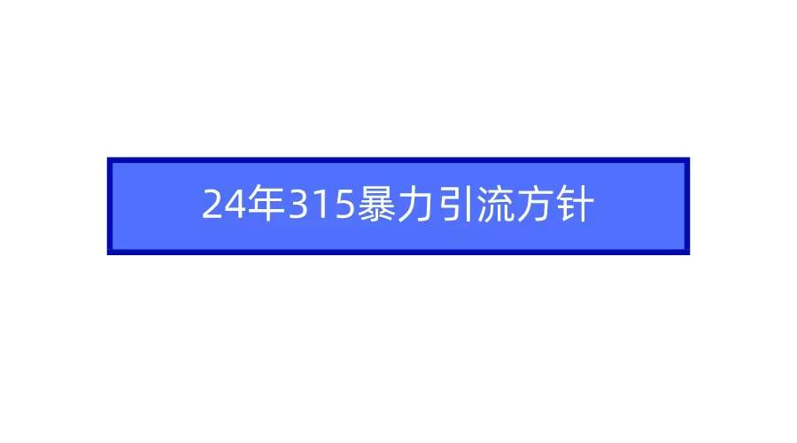 2024年315暴力引流方针-廉价云资源网