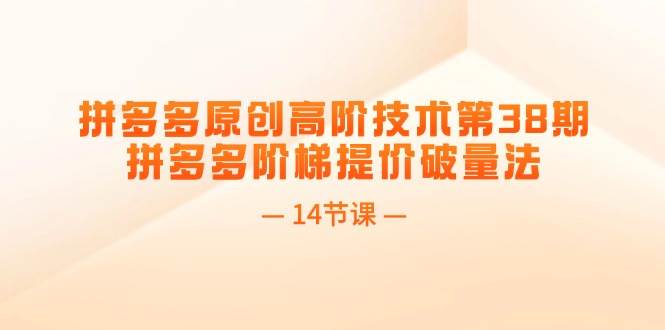 拼多多原创高阶技术第38期，拼多多阶梯提价破量法（14节课）-廉价云资源网