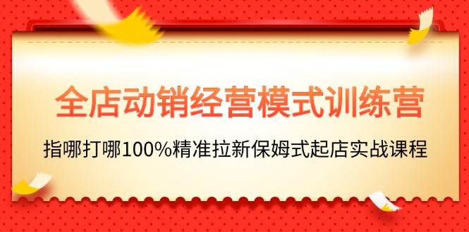 全店动销-经营模式训练营，指哪打哪100%精准拉新保姆式起店实战课程-廉价云资源网