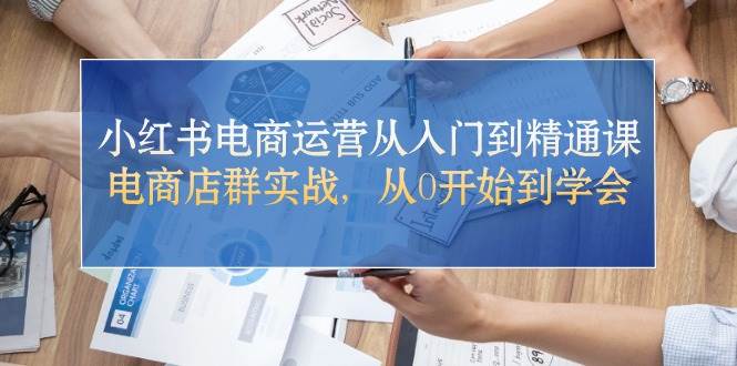小红书电商运营从入门到精通课，电商店群实战，从0开始到学会-廉价云资源网
