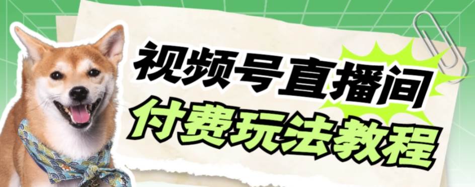 视频号美女付费无人直播，轻松日入500+【详细玩-廉价云资源网