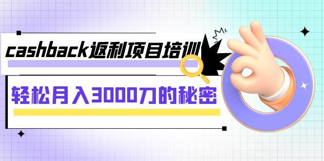 cashback返利项目培训：轻松月入3000刀的秘密（8节课）-廉价云资源网
