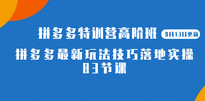 2023拼多多·特训营高阶班【9月13日更新】拼多多最新玩法技巧落地实操-83节-廉价云资源网