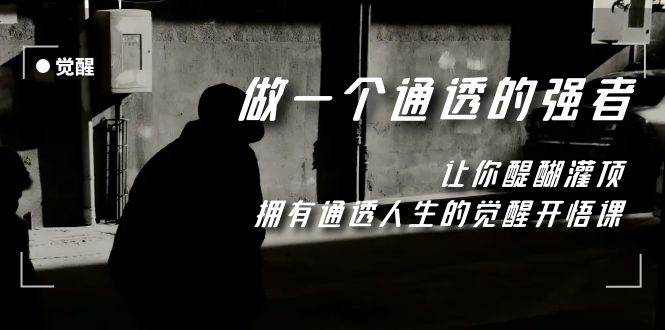 觉醒-做一个通透强者，让你醍醐灌顶，拥有通透人生，掌握强大的秘密-廉价云资源网