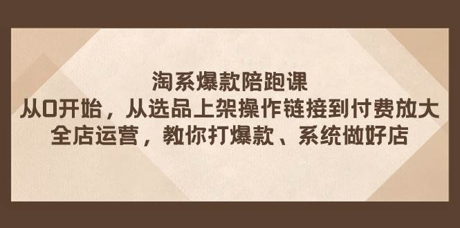 淘系爆款陪跑课 从选品上架操作链接到付费放大 全店运营 打爆款 系统做好店-廉价云资源网