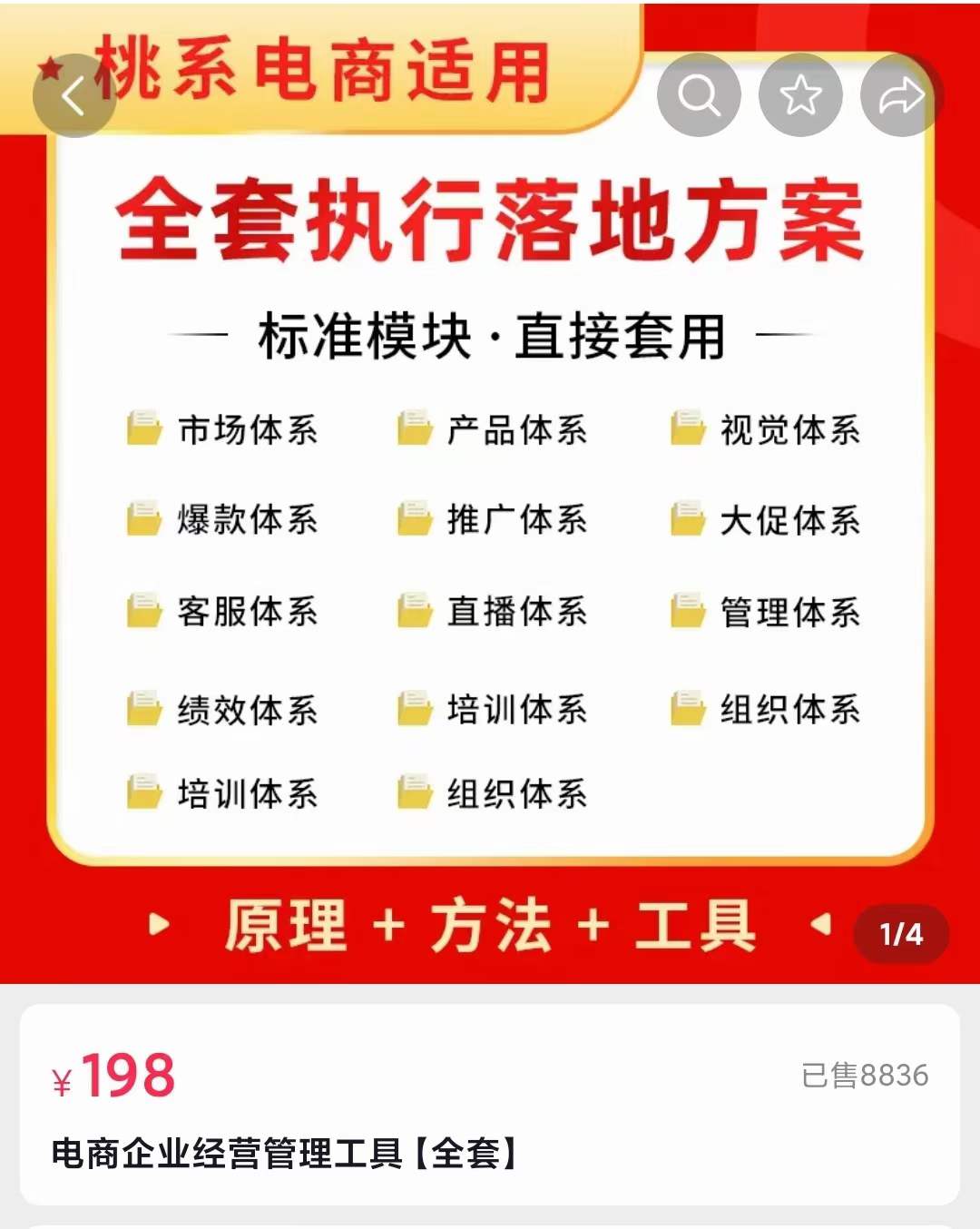 外面卖198·电商企业经营管理工具：全套执行落地方案 标准模块·直接套用-廉价云资源网