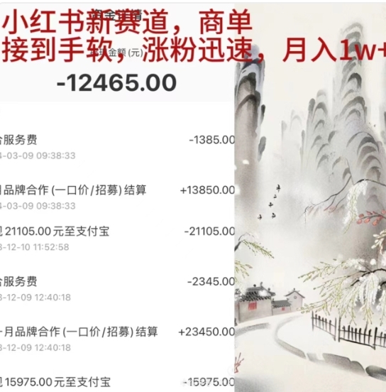 小红书新赛道，商单接到手软，涨粉迅速，一个月1w+-廉价云资源网