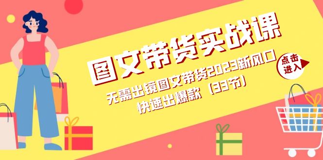 图文带货实战课：无需出镜图文带货2023新风口，快速出爆款（33节）-廉价云资源网