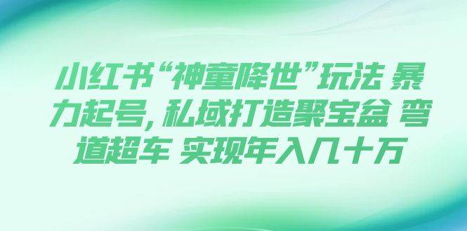 小红书“神童降世”玩法 暴力起号,私域打造聚宝盆 弯道超车 实现年入几十万-廉价云资源网