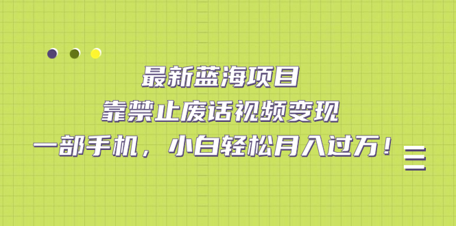 最新蓝海项目，靠禁止废话视频变现，一部手机，小白轻松月入过万！-廉价云资源网