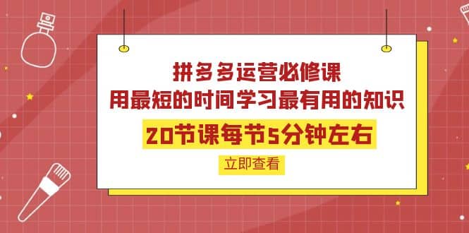 拼多多运营必修课：20节课每节5分钟左右，用最短的时间学习最有用的知识-廉价云资源网