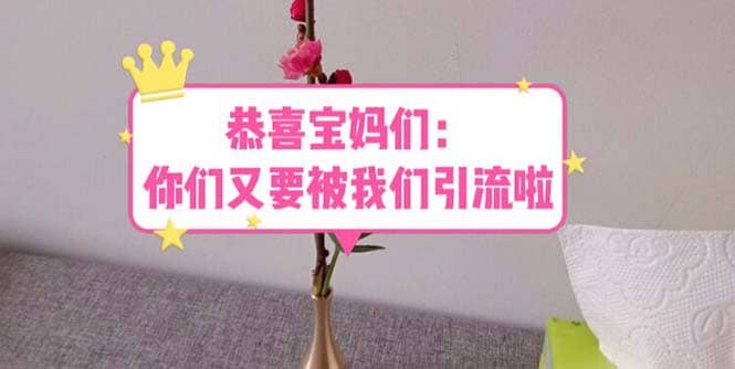 恭喜宝妈们：你们又要被我们引流了（教程+222g资料）-廉价云资源网