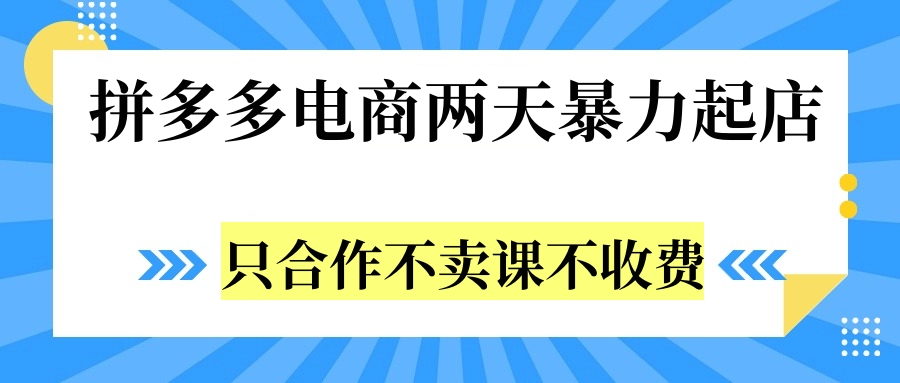 拼多多两天暴力起店，只合作不卖课不收费-廉价云资源网
