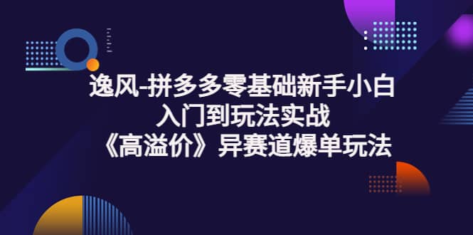 拼多多零基础新手小白入门到玩法实战《高溢价》异赛道爆单玩法实操课-廉价云资源网