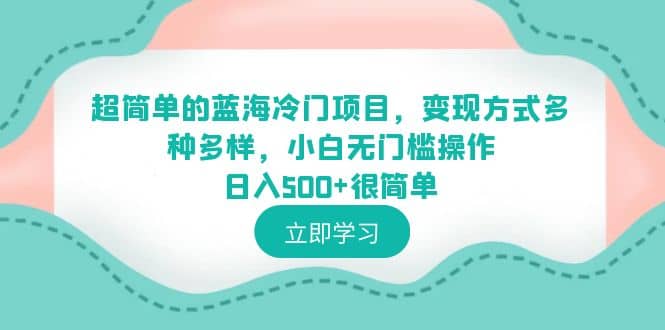 超简单的蓝海冷门项目，变现方式多种多样，小白无门槛操作日入500+很简单-廉价云资源网