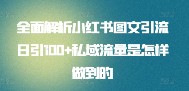 全面解析小红书图文引流日引100私域流量是怎样做到的-廉价云资源网