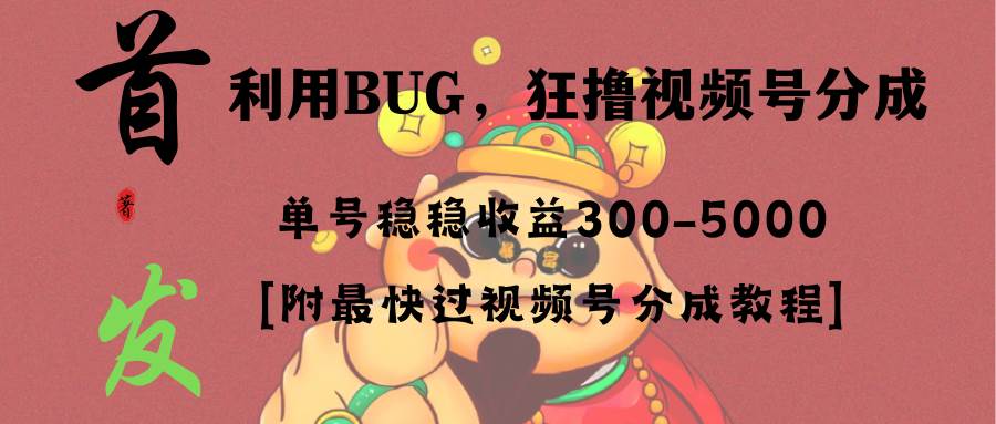 全网独家首发，视频号BUG，超短期项目，单号每日净收益300-5000！-廉价云资源网
