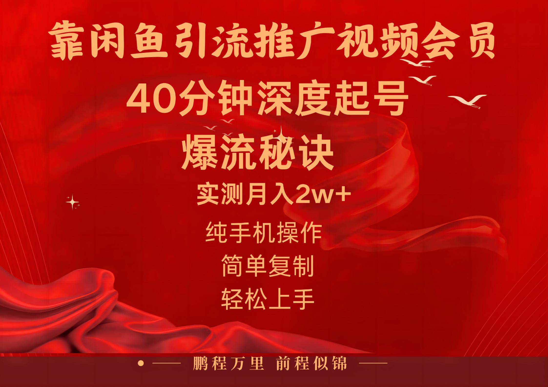闲鱼暴力引流推广视频会员，能做到日入2W+，操作简单-廉价云资源网