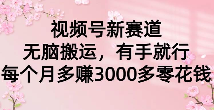 视频号新赛道，无脑搬运，有手就行，每个月多赚3000多零花钱-廉价云资源网
