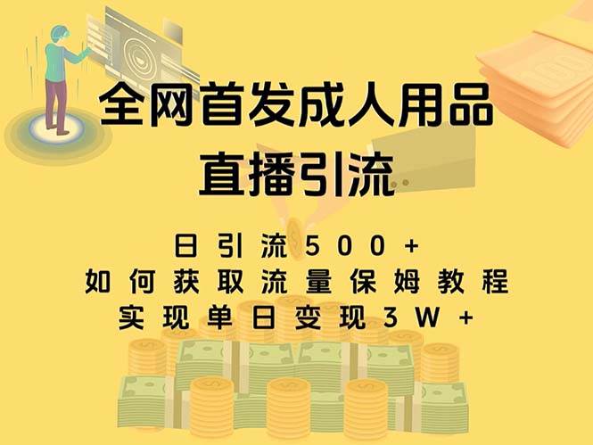 最新全网独创首发，成人用品直播引流获客暴力玩法，单日变现3w保姆级教程-廉价云资源网