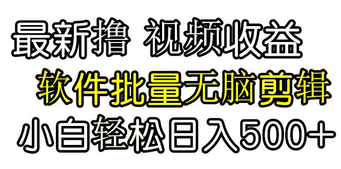 发视频撸收益，软件无脑批量剪辑，第一天发第二天就有钱-廉价云资源网