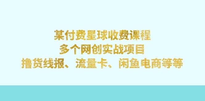 某付费星球课程：多个网创实战项目，撸货线报、流量卡、闲鱼电商等等-廉价云资源网