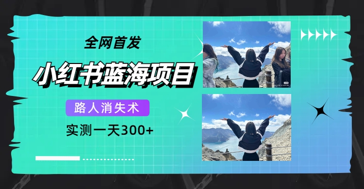 全网首发，小红书蓝海项目，路人消失术，实测一天300+（教程+工具）-廉价云资源网